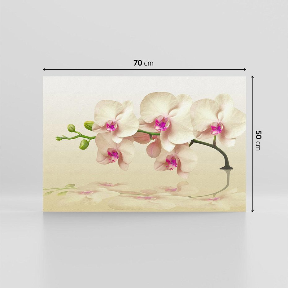 Obraz na płótnie 70x50 - Kwiatowa harmonia w SPA - orchidea, kwiat