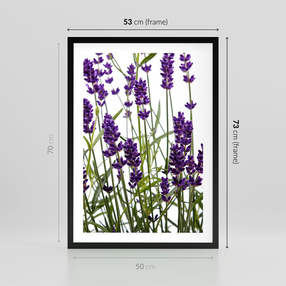 Plakat w ramie 50x70 - Fioletowa harmonia lawendy - lawenda, fiolet - rama czarna