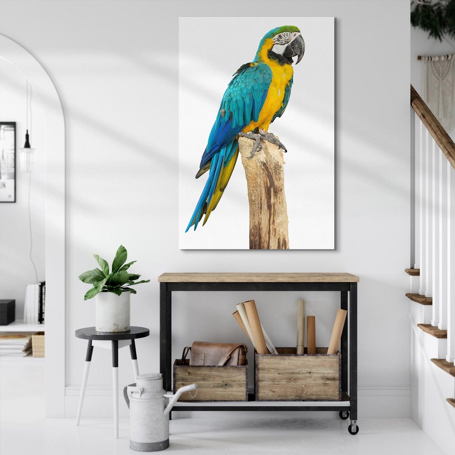 Obraz na płótnie 70x100 - Kolorowa papuga w locie - papuga, ptak