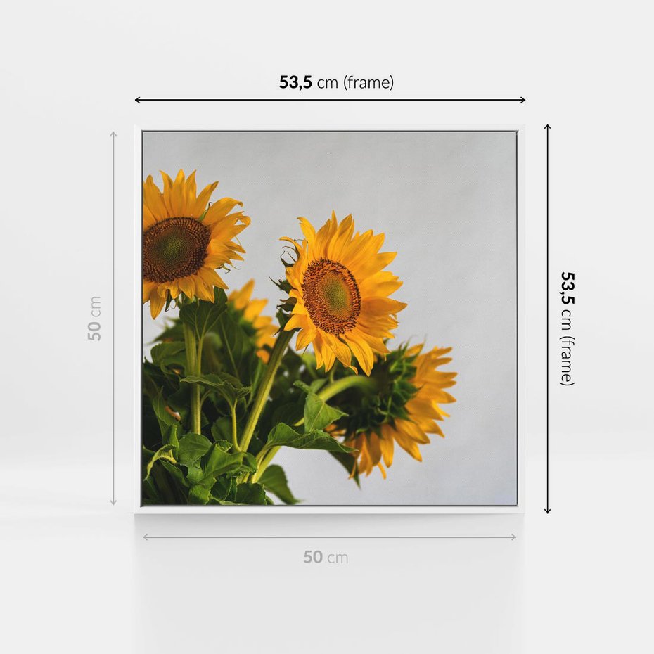 Obraz w ramie 50x50 - Słoneczna Radość - fotografia, żółte słoneczniki - rama biała
