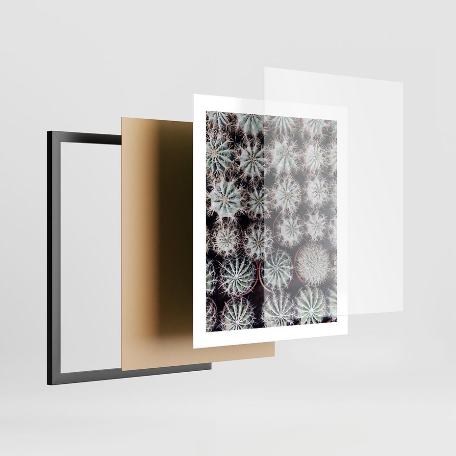 Plakat w ramie 40x50 - Wzór Kaktusów - kaktusy w doniczkach, ujęcie z góry - rama czarna