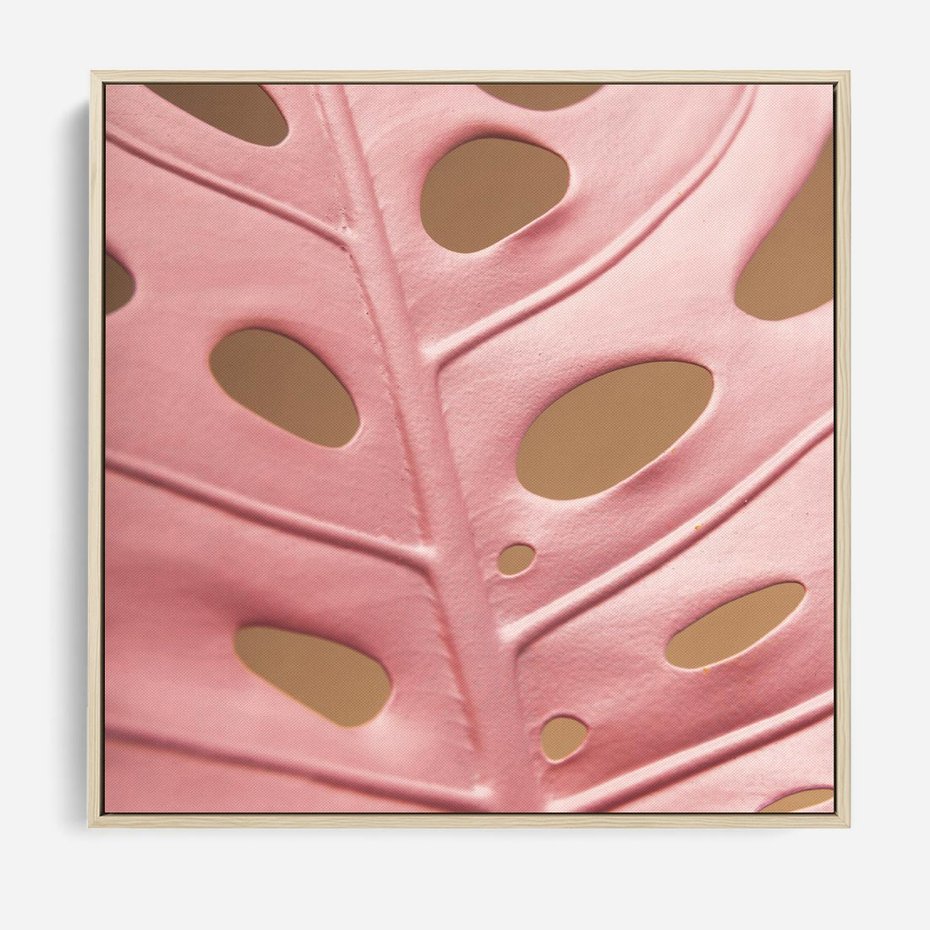 Obraz w ramie 80x80 - Różowa monstera w pełnym rozkwicie - różowa, monstera - rama drewno