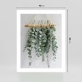 Plakat bez ramy 40x50 - Uwodzicielska zieleń eukaliptusa - eukaliptus, zielone