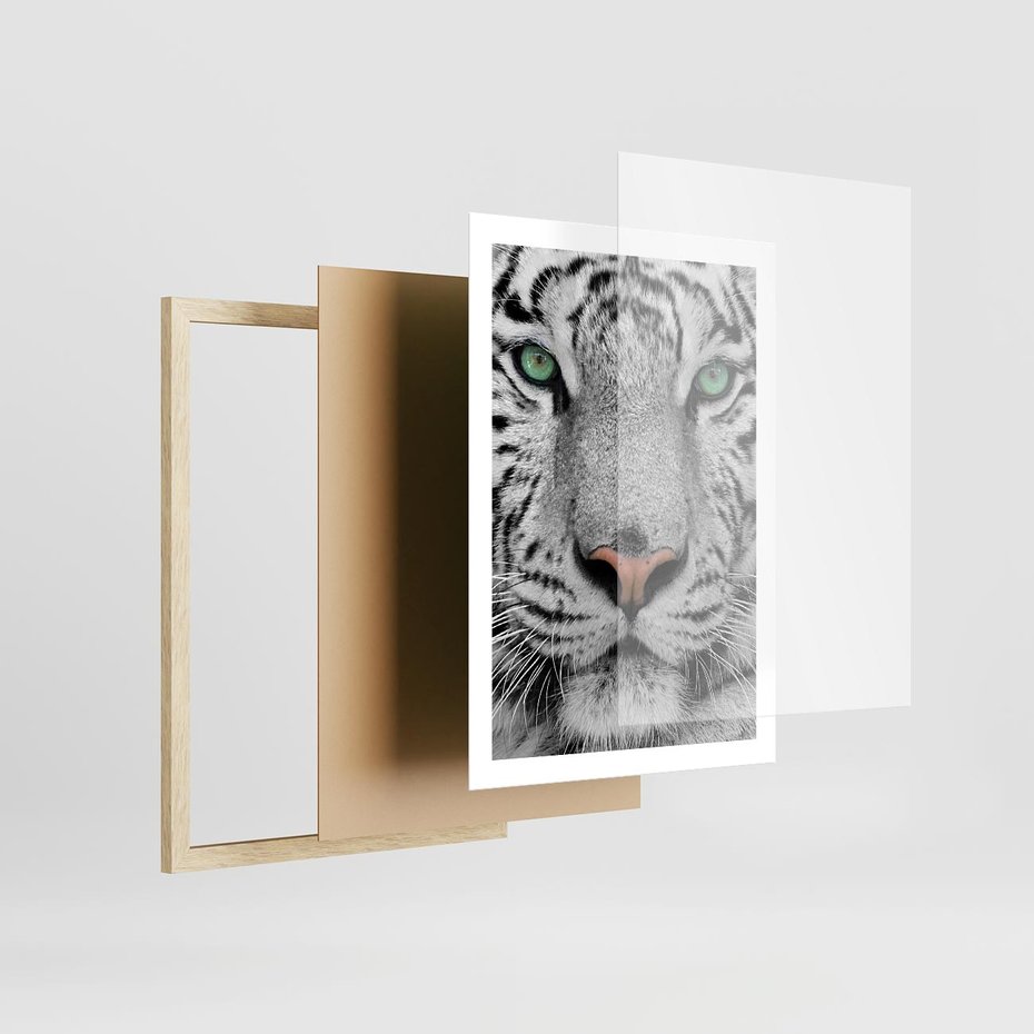 Plakat w ramie 50x70 - Magia Białego Tygrysa - biały, tygrys - rama drewno