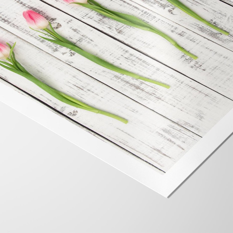 Plakat bez ramy 40x50 - Kwintesencja Piękna - kwiaty, tulipany