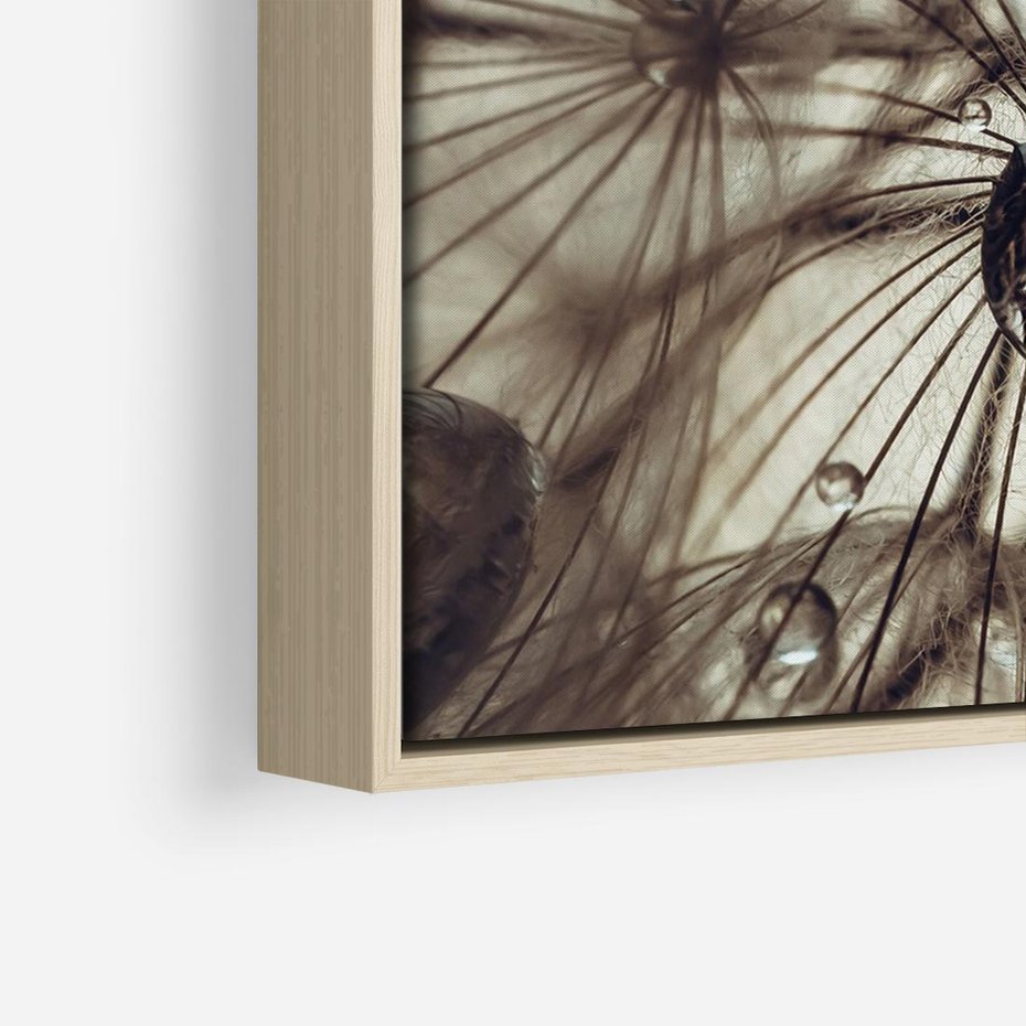 Obraz w ramie 120x80 - Lekkie dmuchawce - dmuchawce, krople - rama drewno