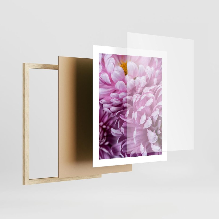 Plakat w ramie 40x50 - Fioletowy zawrót głowy - kwiat, różowy kwiat - rama drewno
