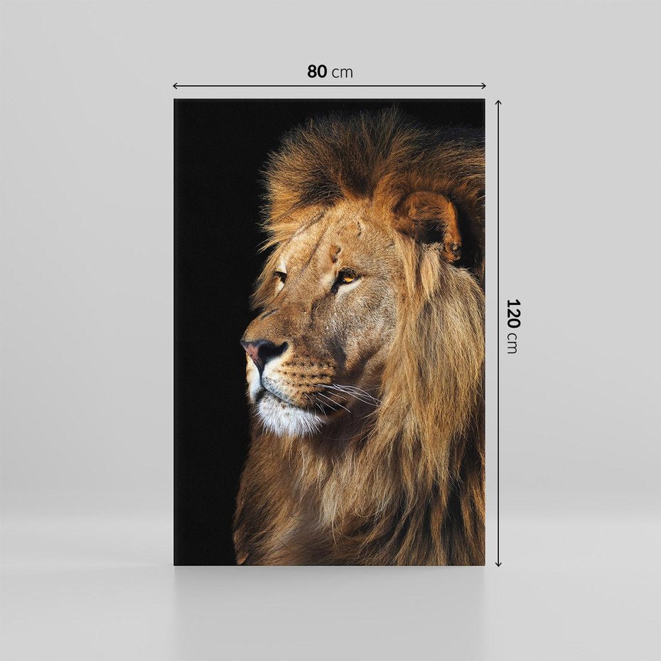 Obraz na płótnie 80x120 - Władca Dzikiej Przyrody - lew, król