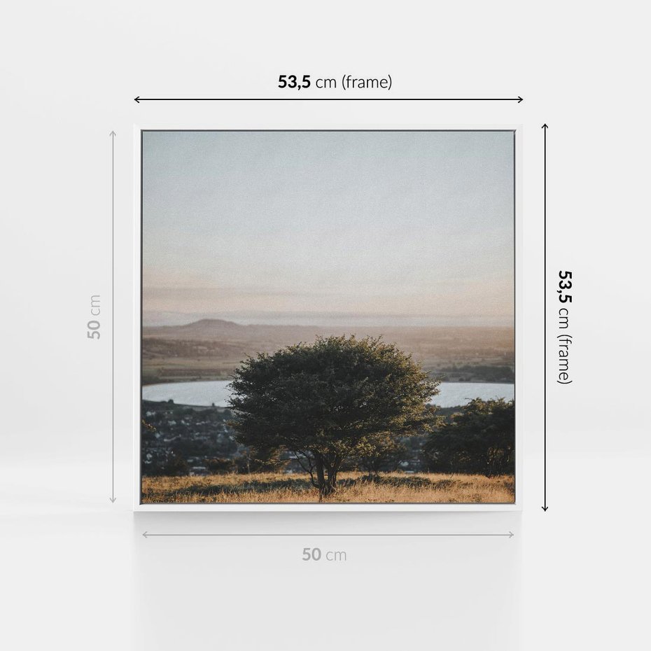 Obraz w ramie 50x50 - Siła Natury - drzewo, pejzaż - rama biała