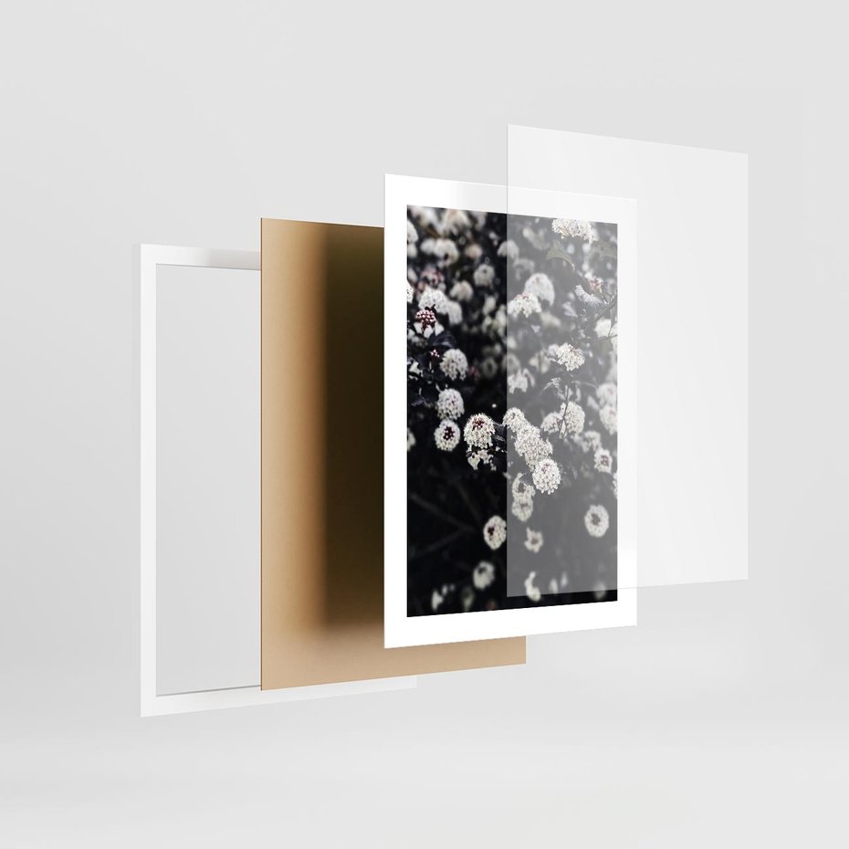 Plakat w ramie 30x40 - Białe Kwiaty na Kwitnącym Krzewie - białe kwiaty, kwitnący krzew - rama biała
