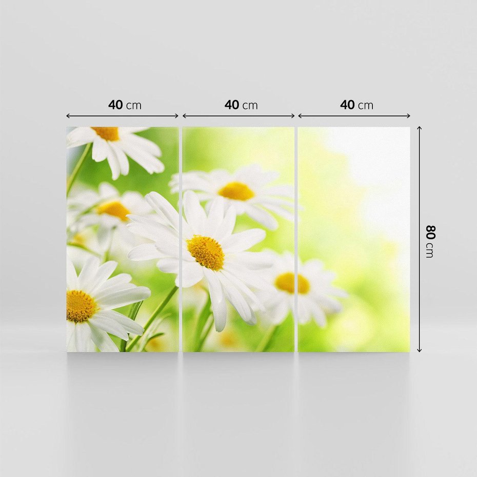 Obraz na płótnie 120x80 - Stokrotka: delikatność natury - stokrotka, kwiat