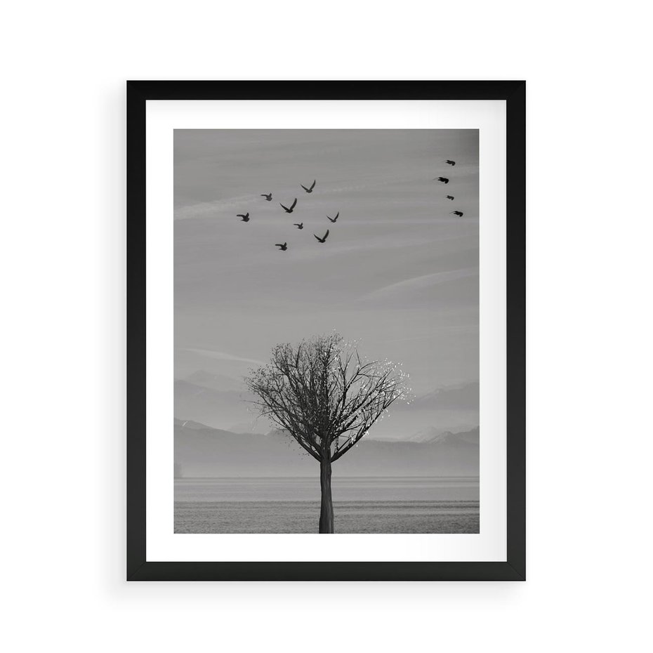 Plakat w ramie 40x50 - Samotne Drzewo - samotne drzewo w polu, czarno białe zdjęcie - rama czarna