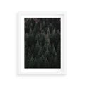 Plakat w ramie 30x40 - Wysoko nad Iglastym Lasem - las, perspektywa - rama biała