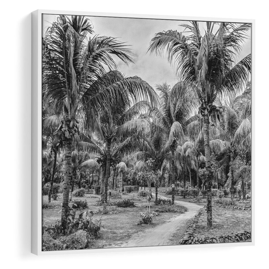 Obraz w ramie 50x50 - Mroczna Ścieżka Tropików - czarno biała fotografia, ścieżka pośród palm - rama biała