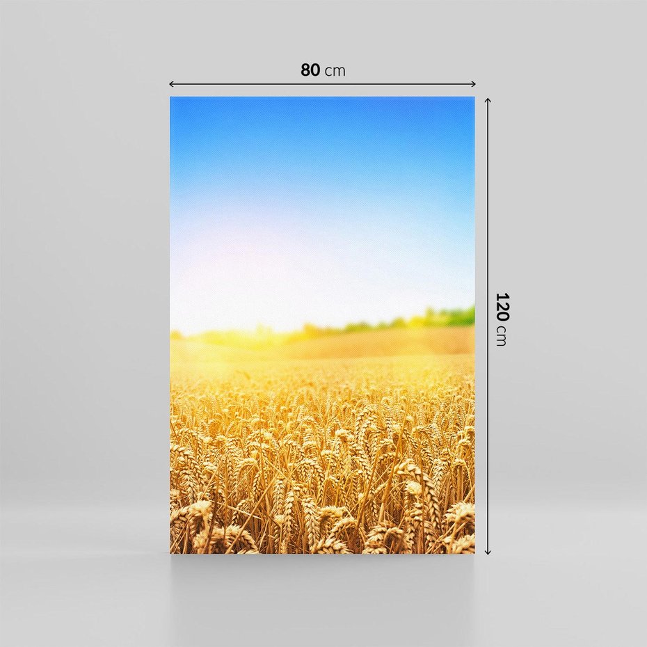 Obraz na płótnie 80x120 - Żyzne Pola - pole, pszenicy