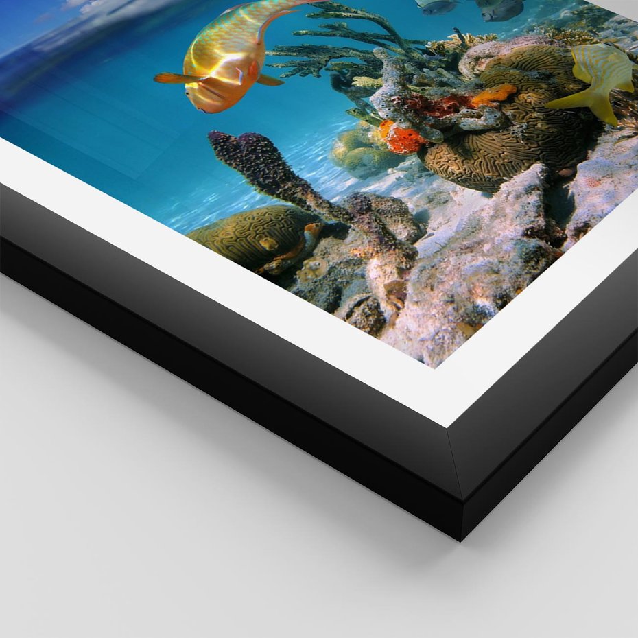 Plakat w ramie 30x40 - Podwodna rafa koralowa: kolorowy oceanowy świat - rafa, koralowa - rama czarna