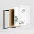 Plakat w ramie 40x50 - Liście Palmy na Czystym Tle - liście palmy, białe tło - rama czarna