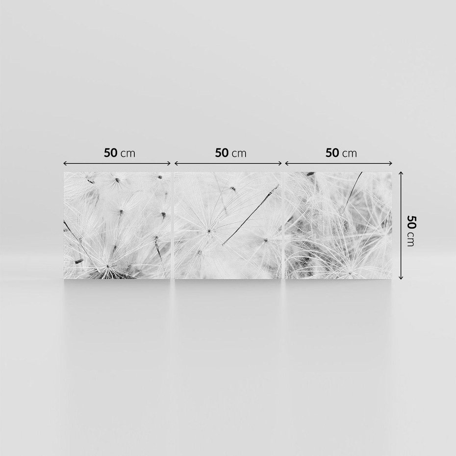 Obraz na płótnie 150x50 - Zdmuchnięty Puch - dmuchawce, delikatne