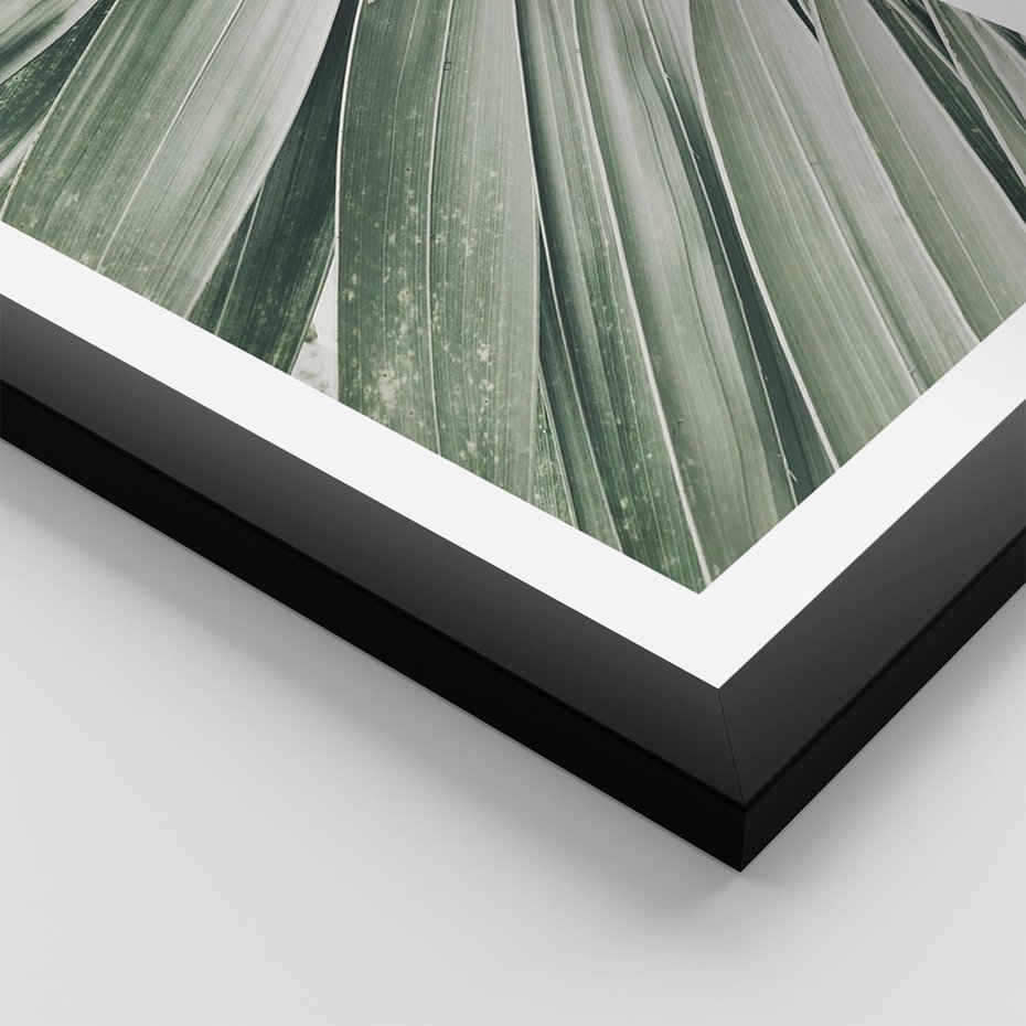 Plakat w ramie 40x50 - Tropikalna Oaza - zielony liść palmy, zieleń - rama czarna