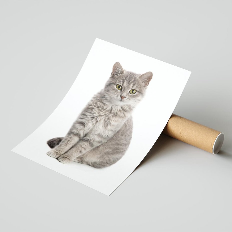 Plakat bez ramy 40x50 - Kocie uroki na płótnie - kot, kotek