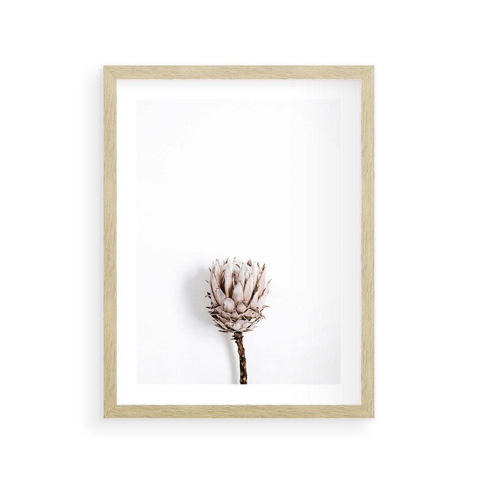 Plakat w ramie 30x40 - Suszona Roślina na Białym Tle - minimalizm, suszona roślina - rama drewno