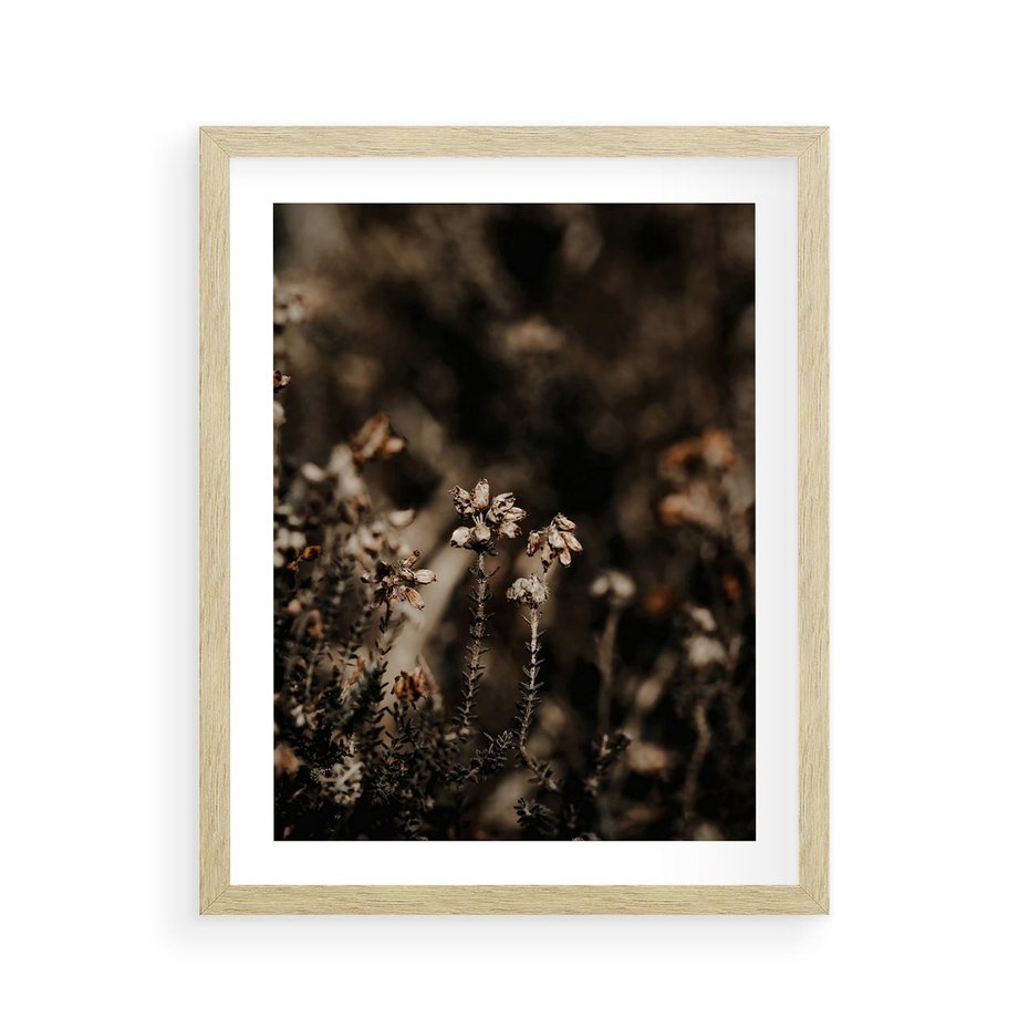 Plakat w ramie 40x50 - Jesienny Urok - suche trawy, jesienny pejzaż - rama drewno