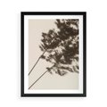 Plakat w ramie 50x70 - Tajemniczy Cień Traw - cień traw, na ścianie - rama czarna