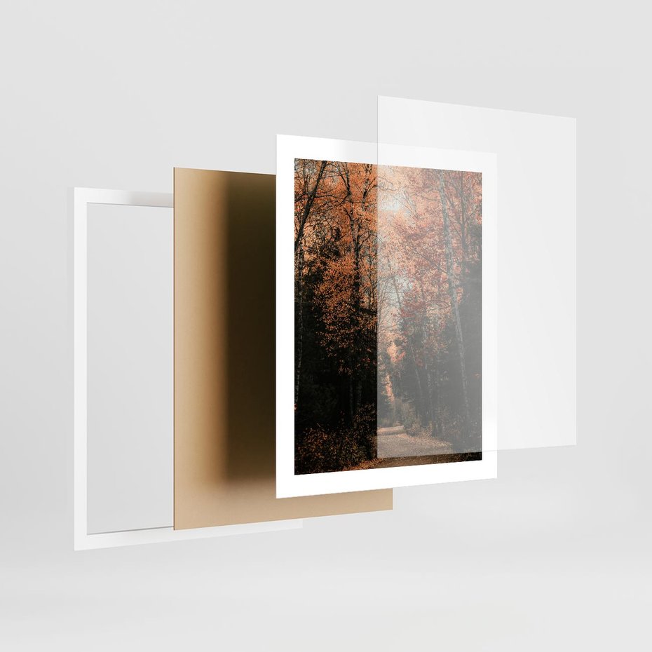Plakat w ramie 40x50 - Drzewa w Czerwonych Liściach - las, jesienny las - rama biała