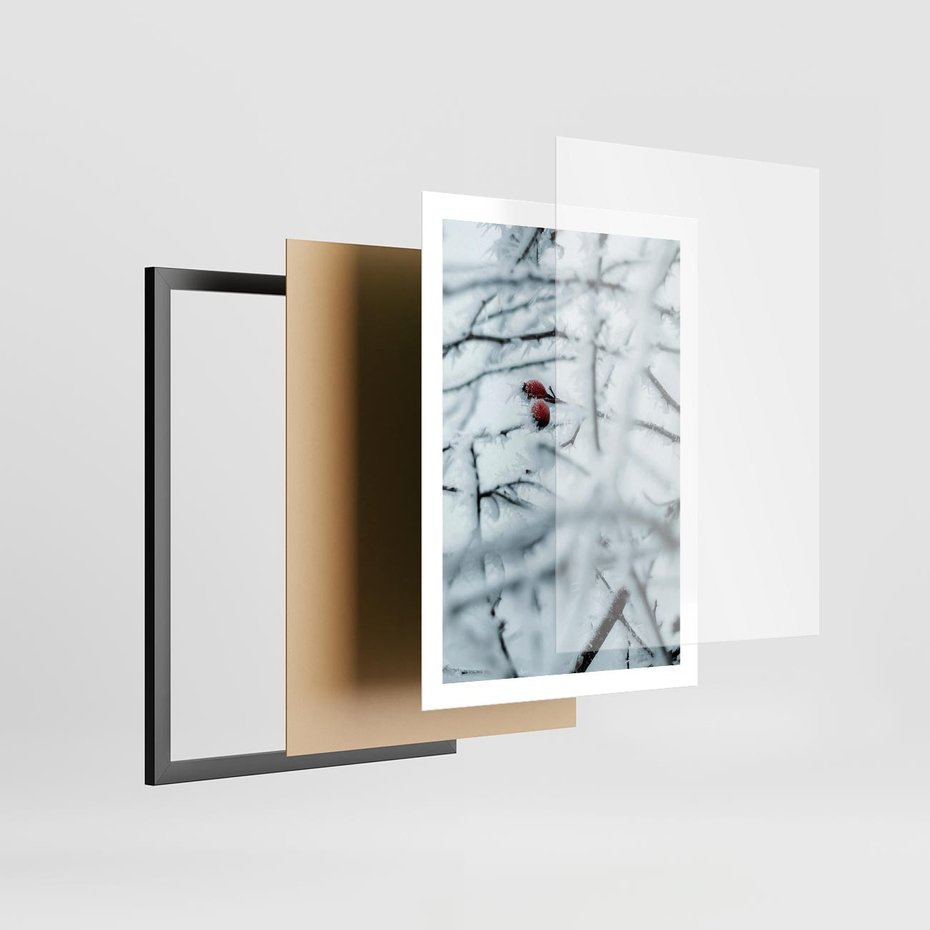 Plakat w ramie 50x70 - Zima w Detalu: Gałęzie ze Szronem i Śniegiem - śnieg, zima - rama czarna