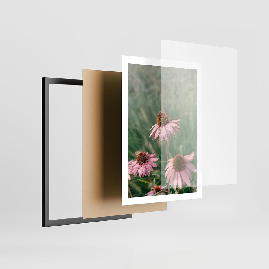 Plakat w ramie 50x70 - Natura w Pełnym Blasku - kwiaty na łące, różowe kwiaty polne - rama czarna