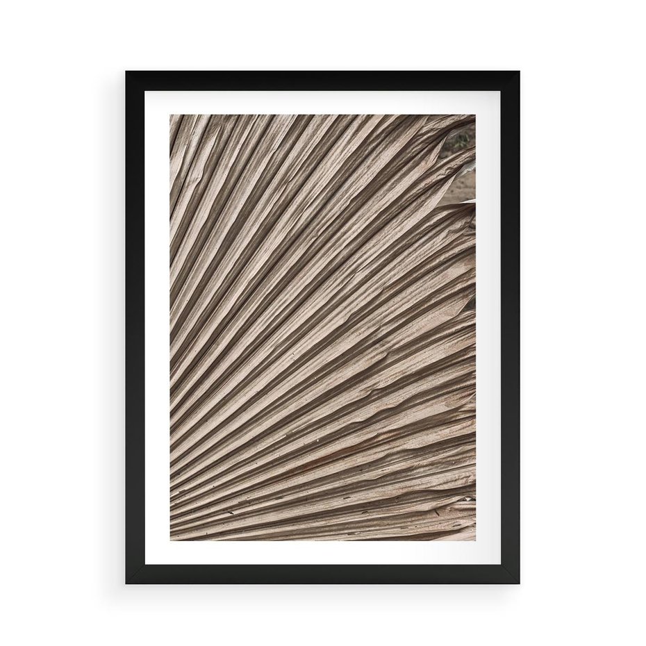 Plakat w ramie 50x70 - Liść Palmy w Wyjątkowej Kompozycji - suchy liść palmy, boho styl - rama czarna