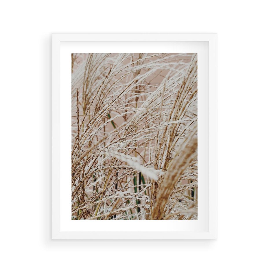 Plakat w ramie 40x50 - Beżowa Trawa - suche trawy, zbliżenie - rama biała
