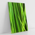 Obraz na płótnie 50x70 - Trawa w abstrakcji: natura przekształcona - trawa, abstrakcja