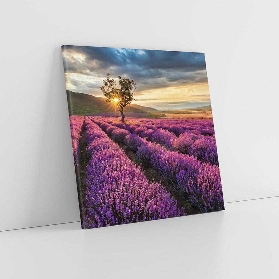 Obraz na płótnie 80x80 - Lawenda: Pachnący ogród natury - lawenda, kwiaty