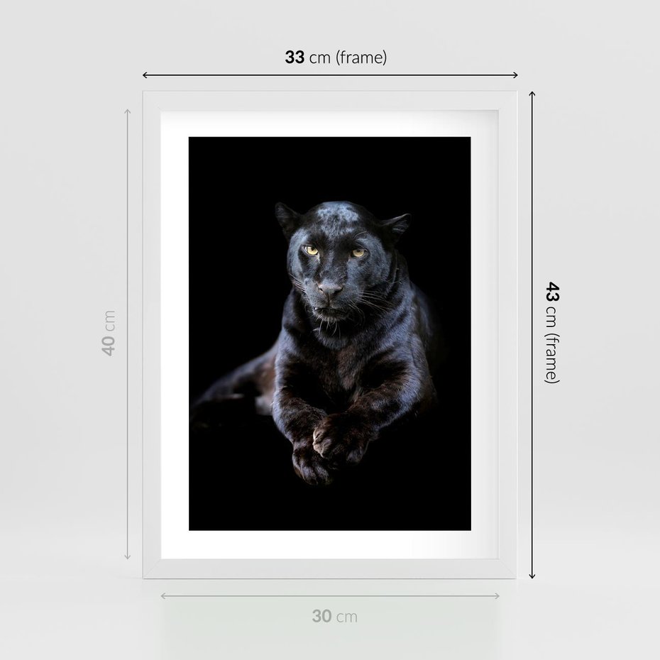 Plakat w ramie 30x40 - Czarna pantera: majestat i siła - czarna, pantera - rama biała