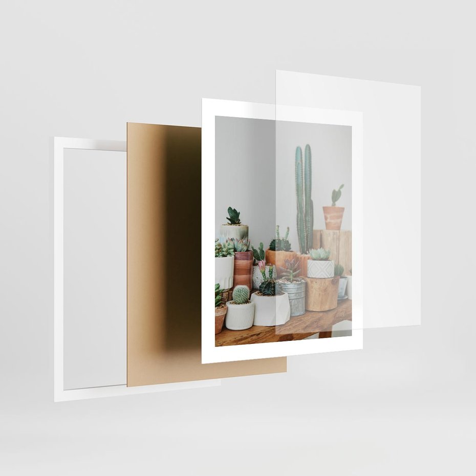 Plakat w ramie 40x50 - Kaktusowa Galeria w Doniczkach - kaktusy w doniczkach, fotografia - rama biała