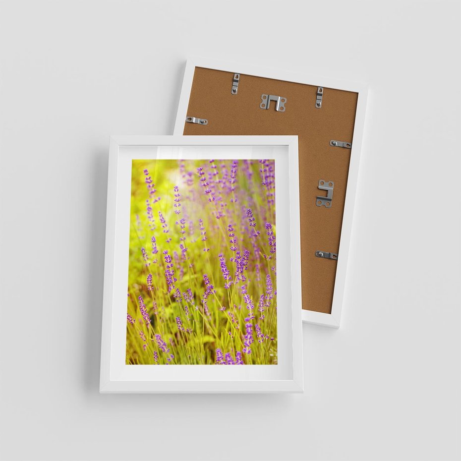 Plakat w ramie 30x40 - Delikatność natury - lawenda, kwiaty - rama biała