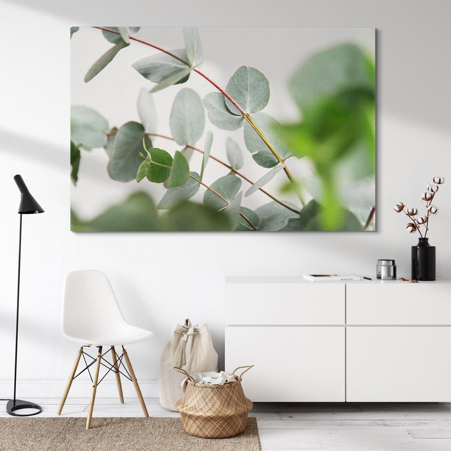 Obraz na płótnie 100x70 - Liście eukaliptusa w naturze - eukaliptus, liście