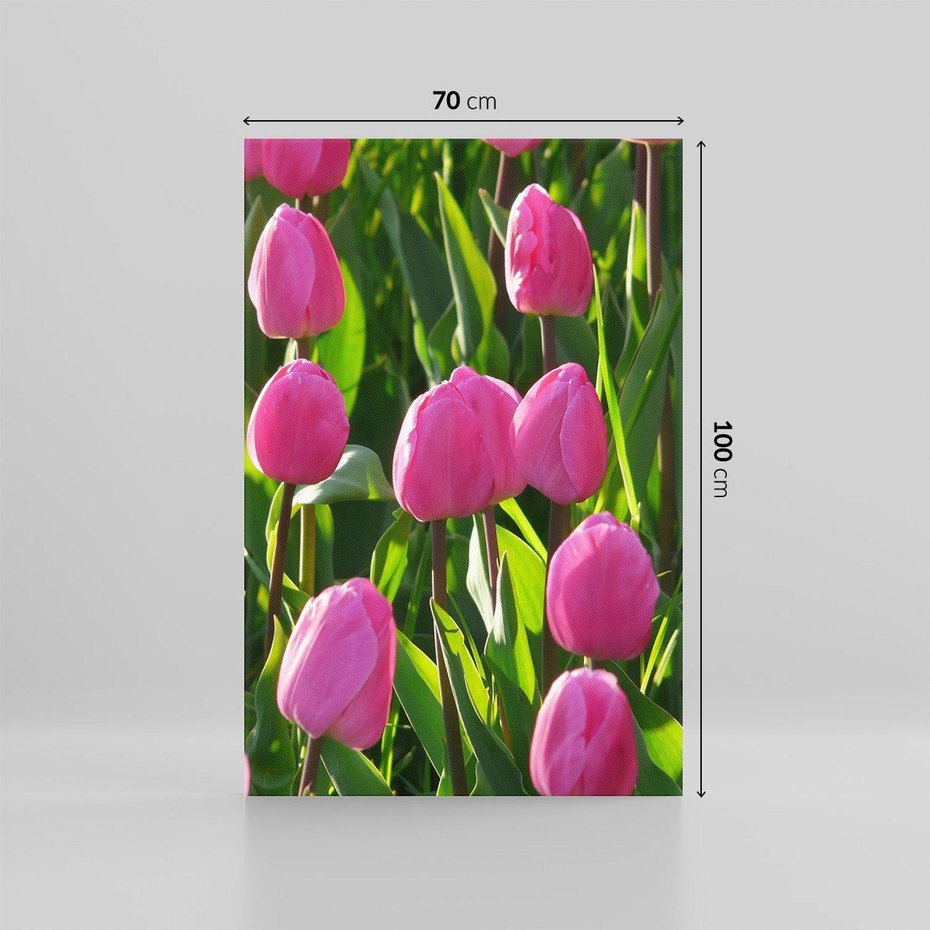 Obraz na płótnie 70x100 - Tulipanowa harmonia - tulipany, kwiaty