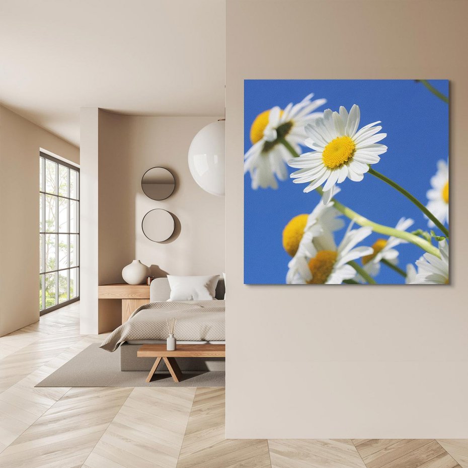 Obraz na płótnie 30x30 - Stokrotkowe pola - stokrotki, kwiaty