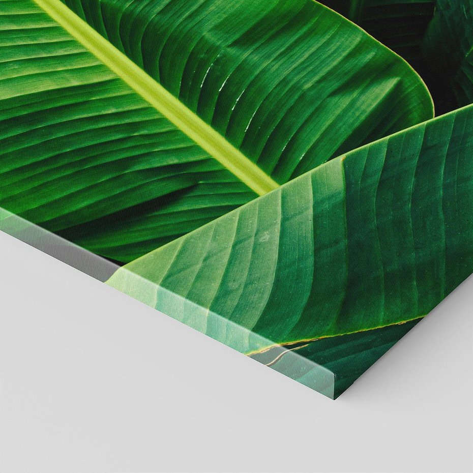 Obraz na płótnie 120x60 - Zaklęta roślinna ekspresja - liście bananowca, gęsto ułożone