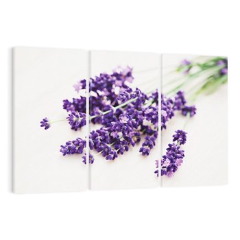 Obraz na płótnie 120x80 - Urok lawendowych kwiatów - lawenda, kwiaty
