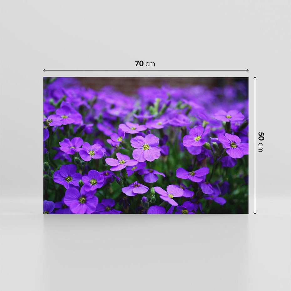 Obraz na płótnie 70x50 - Kwiatowe uniesienia magia natury - kwiat, kwiaty