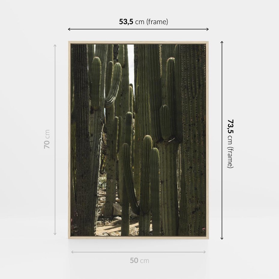 Obraz w ramie 50x70 - Wyjątkowy Klimat Boho - kaktusy, pustynia - rama drewno