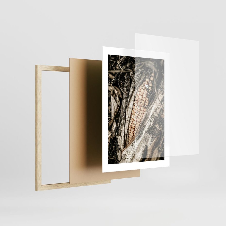 Plakat w ramie 30x40 - Kukurydza w Jesiennej Scenie - kukurydza, jesień - rama drewno