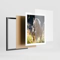 Plakat w ramie 40x50 - Spotkanie konia na łące - koń, łąka - rama czarna