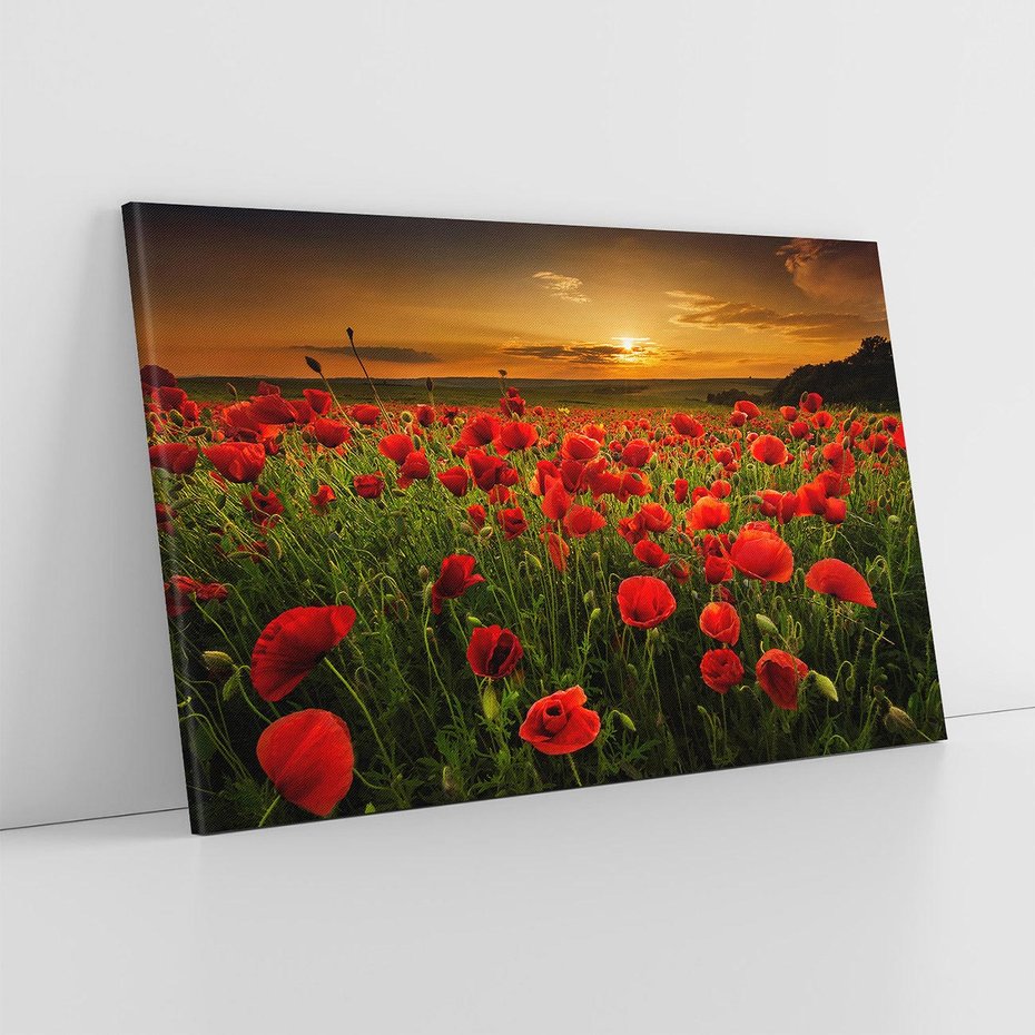 Obraz na płótnie 120x80 - Maki na łące: Przebudzenie wiosny - mak, maki