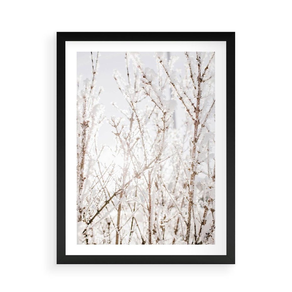 Plakat w ramie 50x70 - Szron na Gałęziach - ośnieżone gałązki, szron na gałęziach - rama czarna