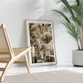Plakat w ramie 40x50 - Zbliżenie na Kłosy Zboża - zboża, kłosy zboża - rama drewno
