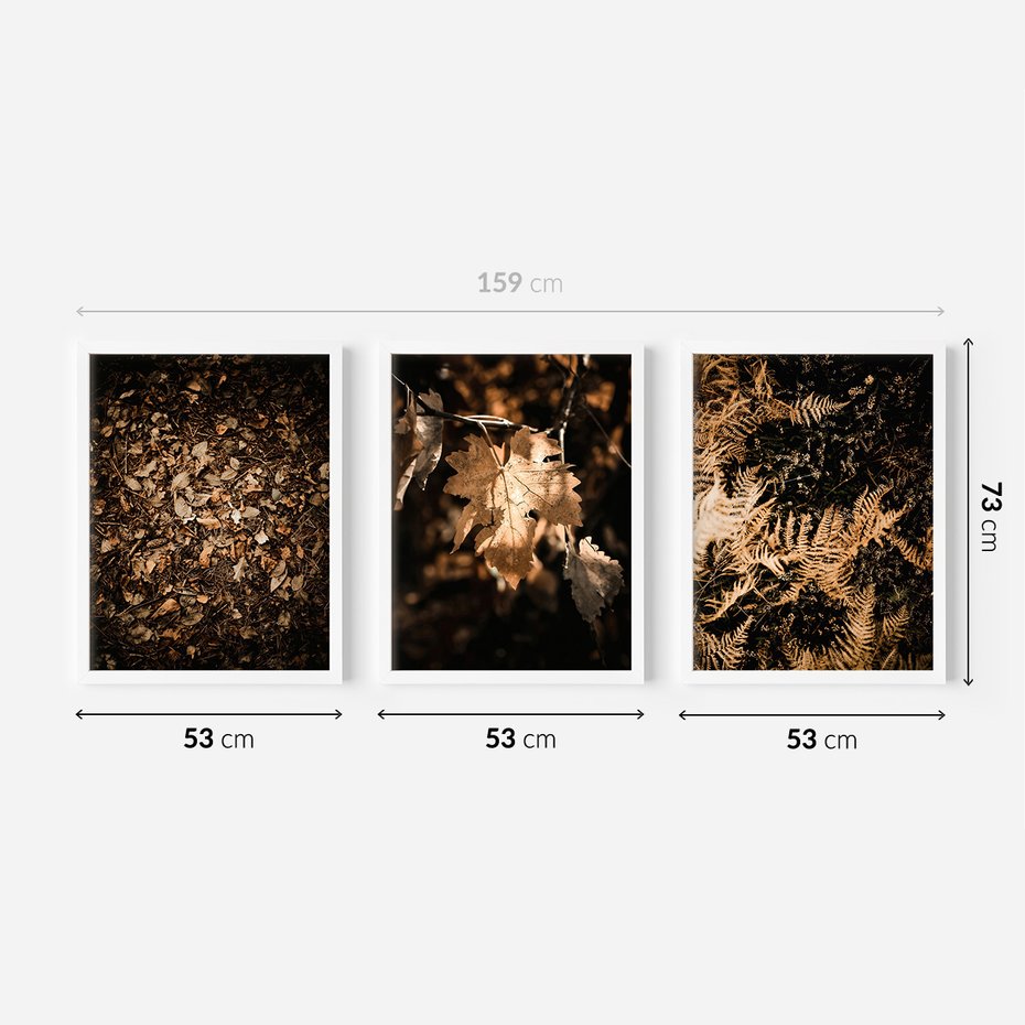Zestaw obrazy w ramie 50x70 galeria - Suche, jesienne, liście, las - rama biała
